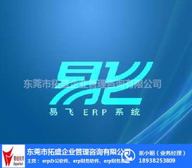 訂單管理與ERP系統集成 拓盛企業管理咨詢助力企業高效運營